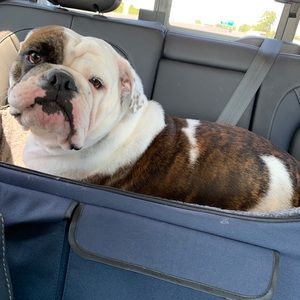 Meet your Posher, Kelli